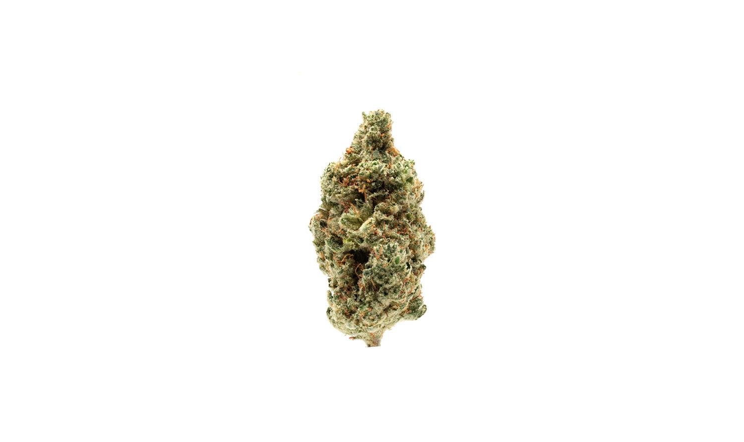 Biscotti CBD Flower | CBD Flower Collective